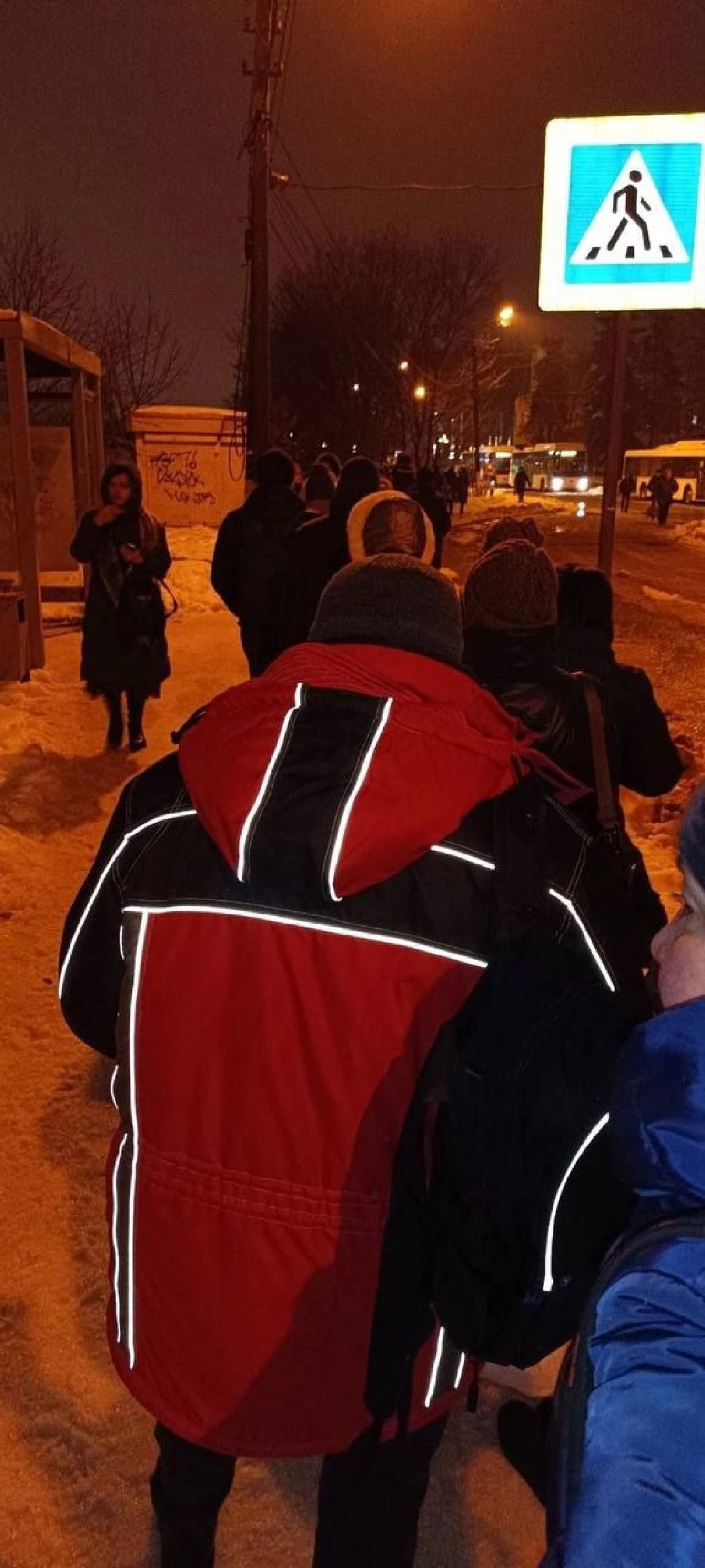 Видное, общество