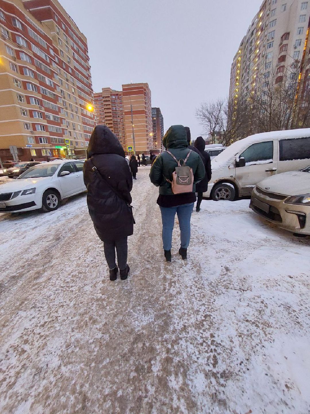 Видное, общество