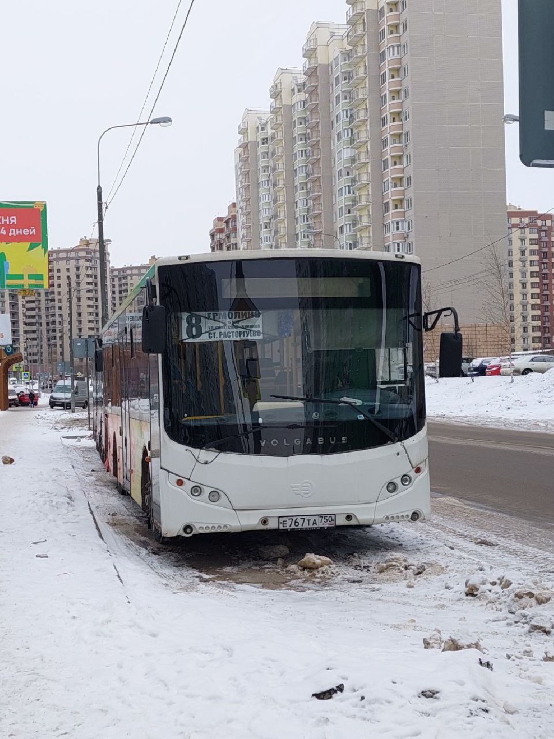 Видное, общество