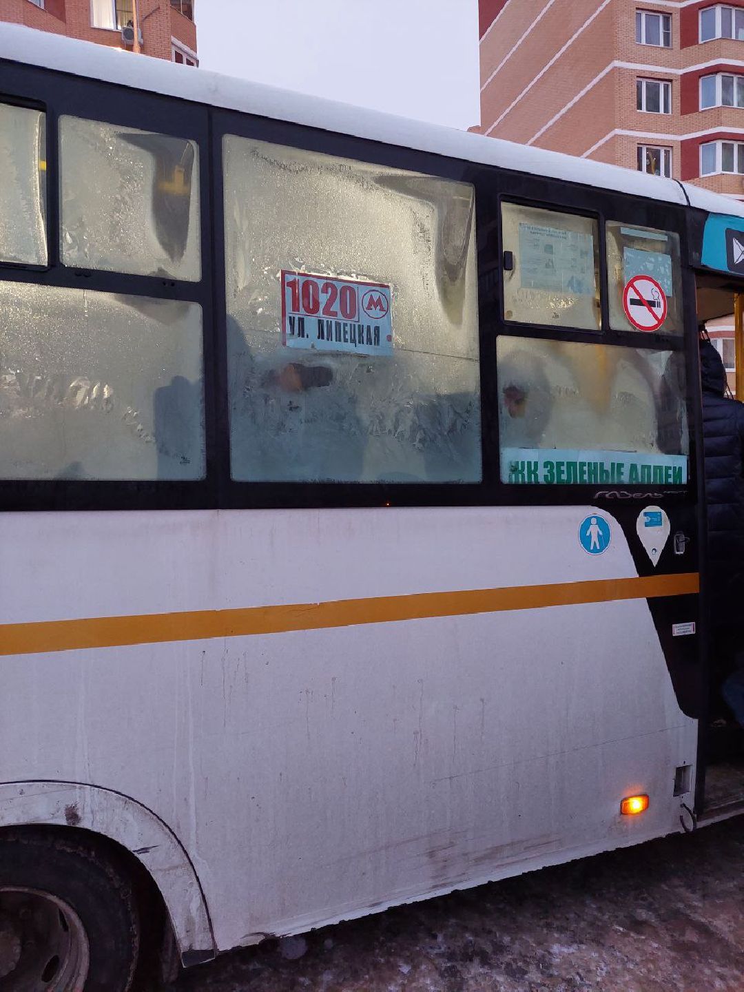 Видное, общество