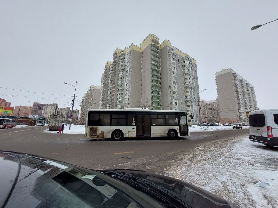 Видное, общество