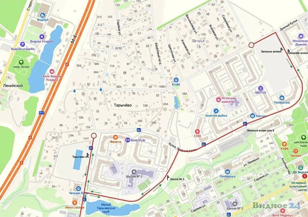 Видное, общество