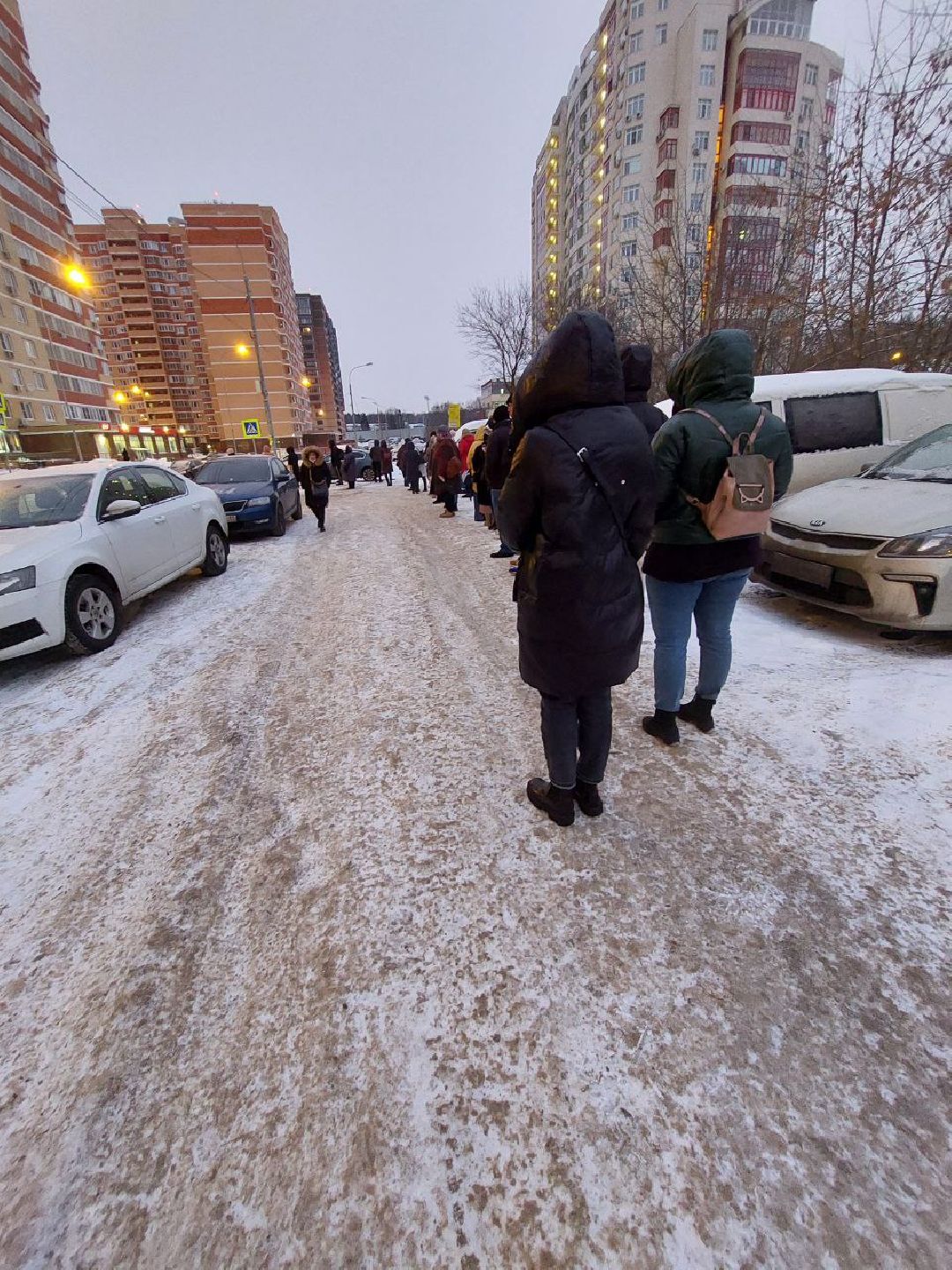 Видное, общество