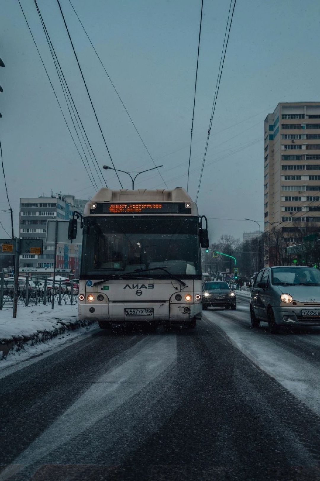 Видное, общество