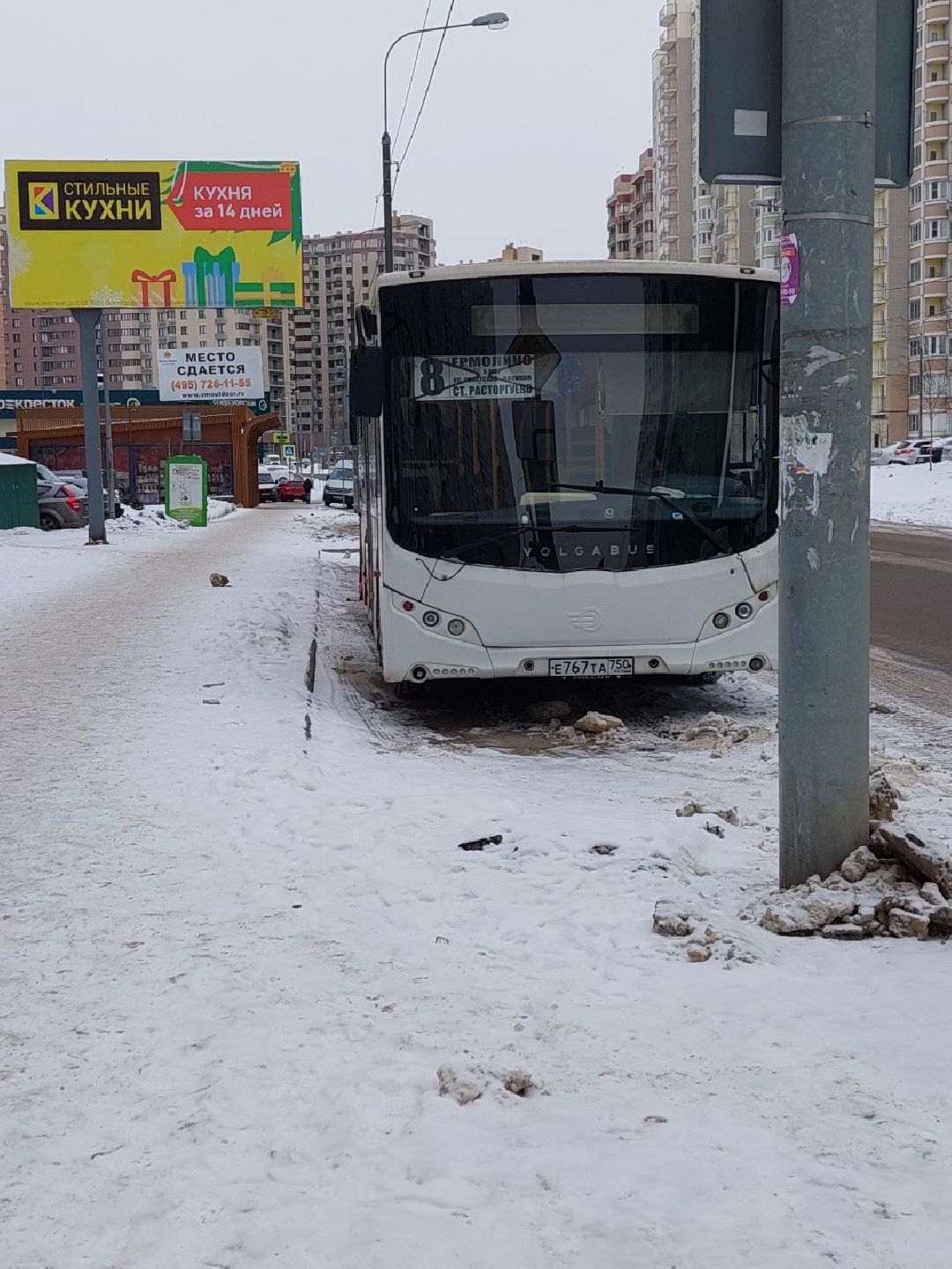 Видное, общество