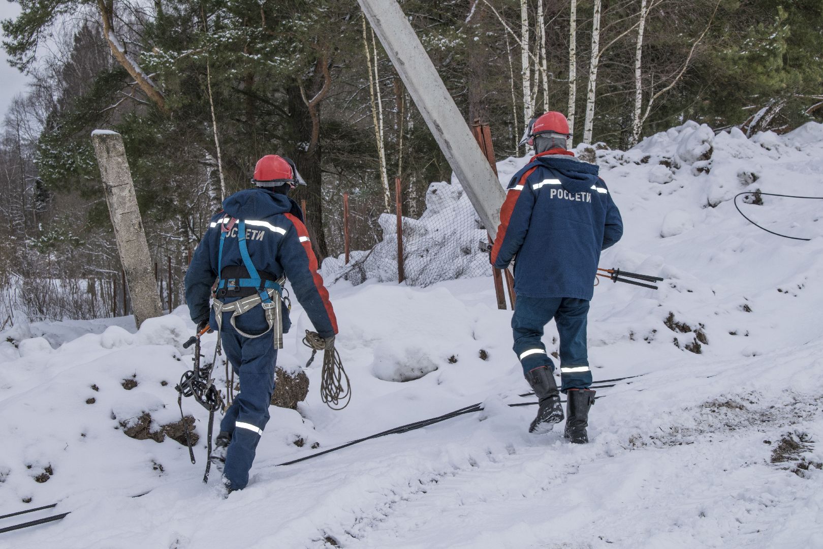 чехов, Россети Московский регион», электричество, трансформаторная подстанция, жители,