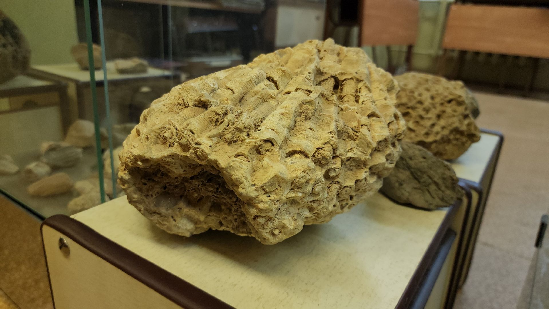 музей, краеведческий музей, школьный музей, школа, руза, рузский городской округ, московская область,