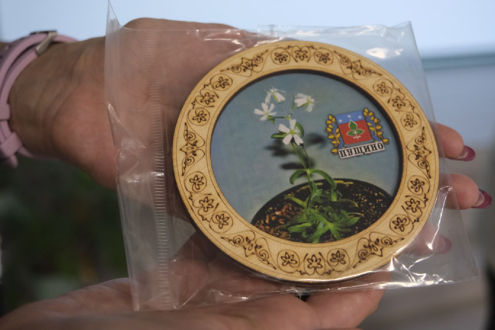 пущино, наука, образование,