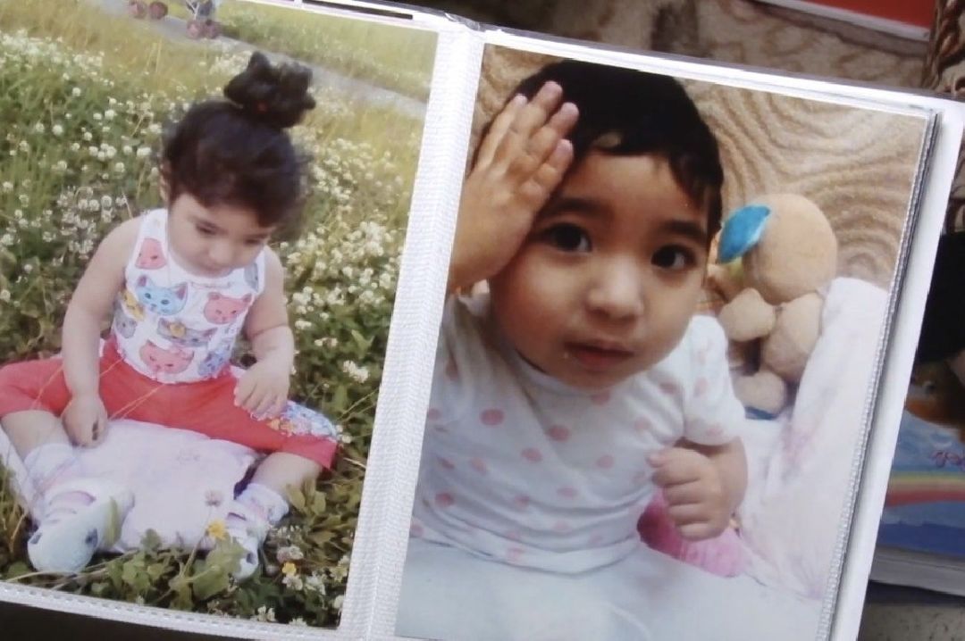 Долгопрудный, общество