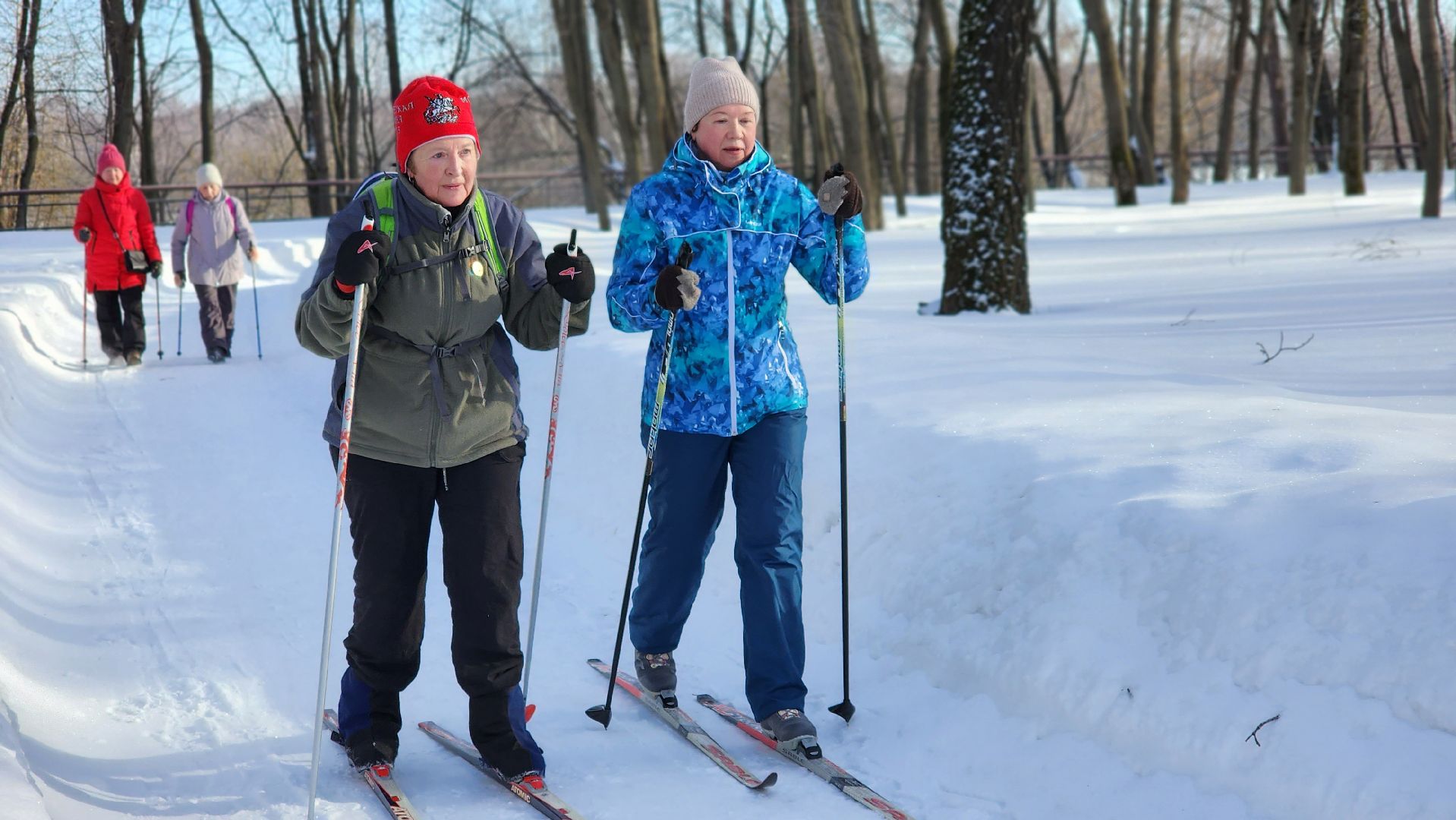 активное долголетие, лыжня в парке, спорт, Лосино-Петровский,