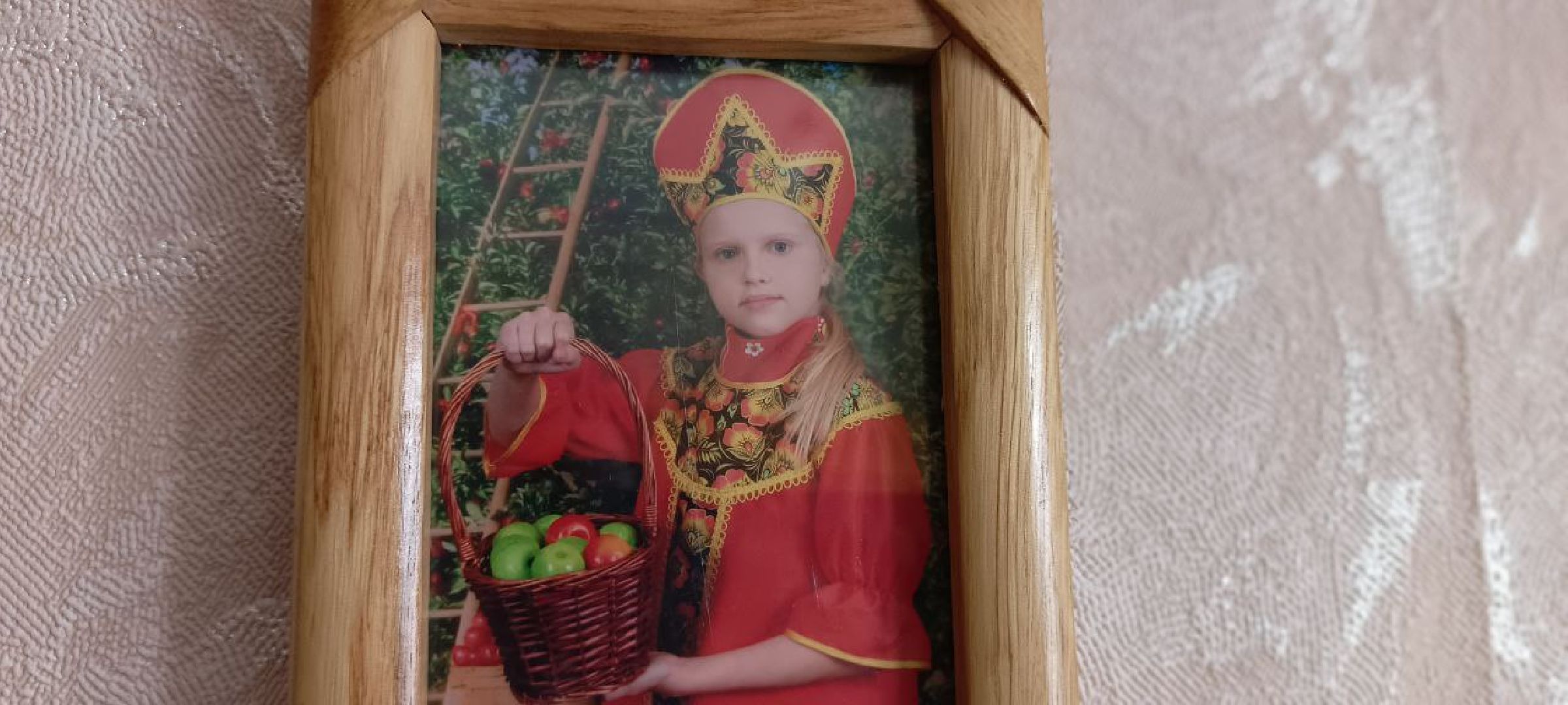 Дмитров, СВО, Глава Дмитровского округа,