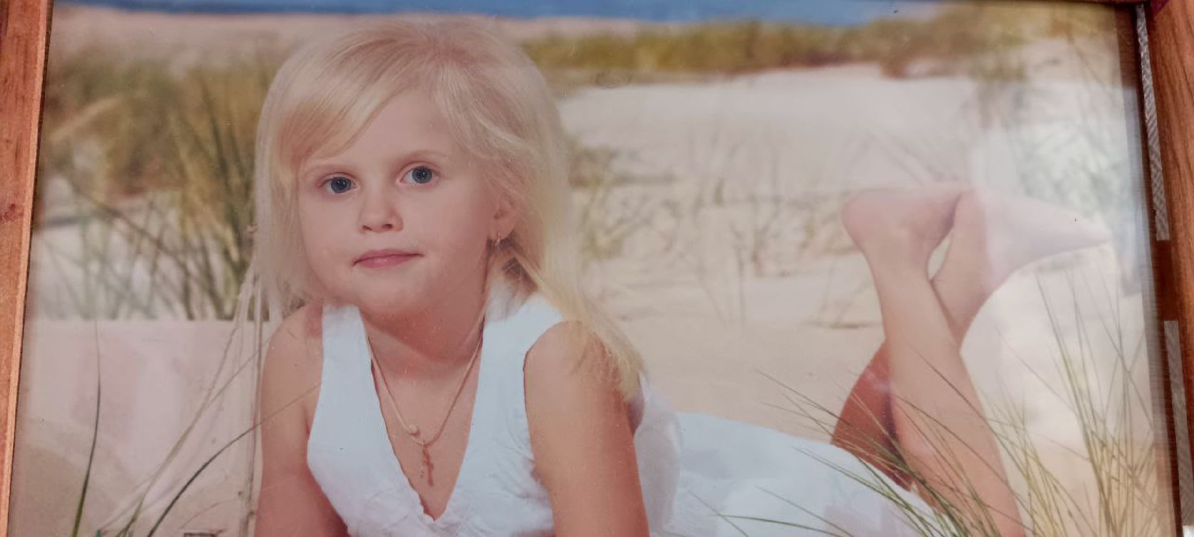 Дмитров, СВО, Глава Дмитровского округа,