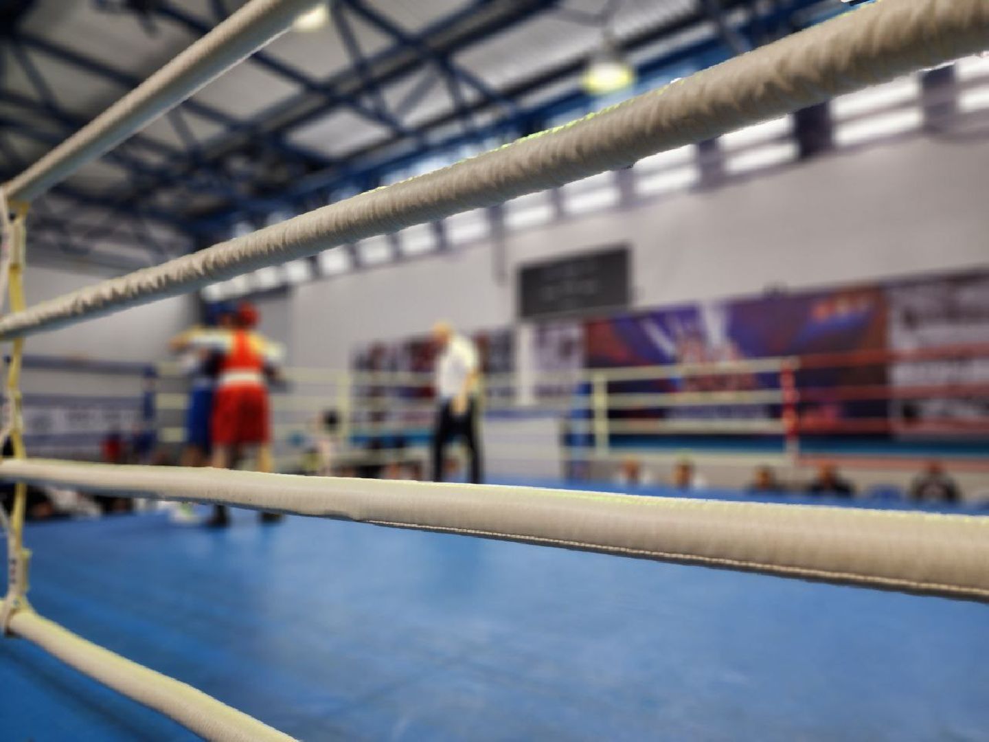 можайск, можайский городской округ, подмосковье, бокс, первенство московской области, спорт, соревнования,