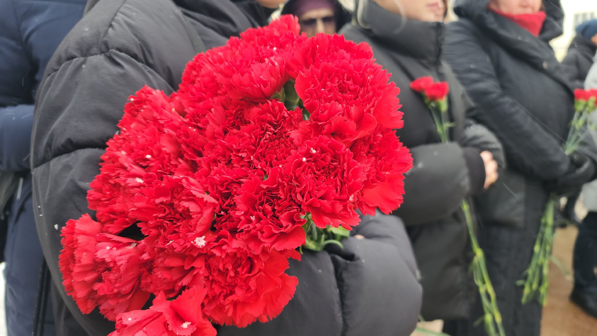 23 февраля, день защитника отечества, фрязино, митинг,