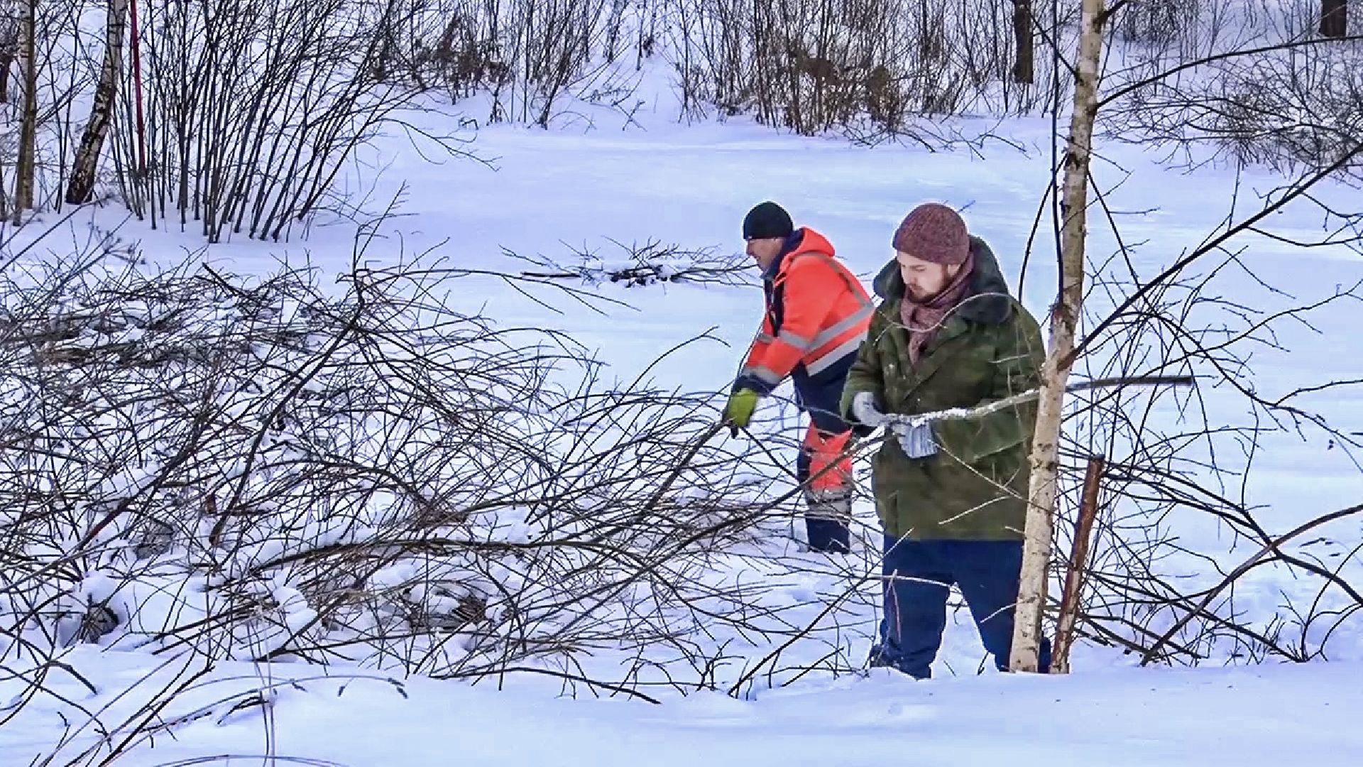 Клин, общество, волонтеры, благоустройство,