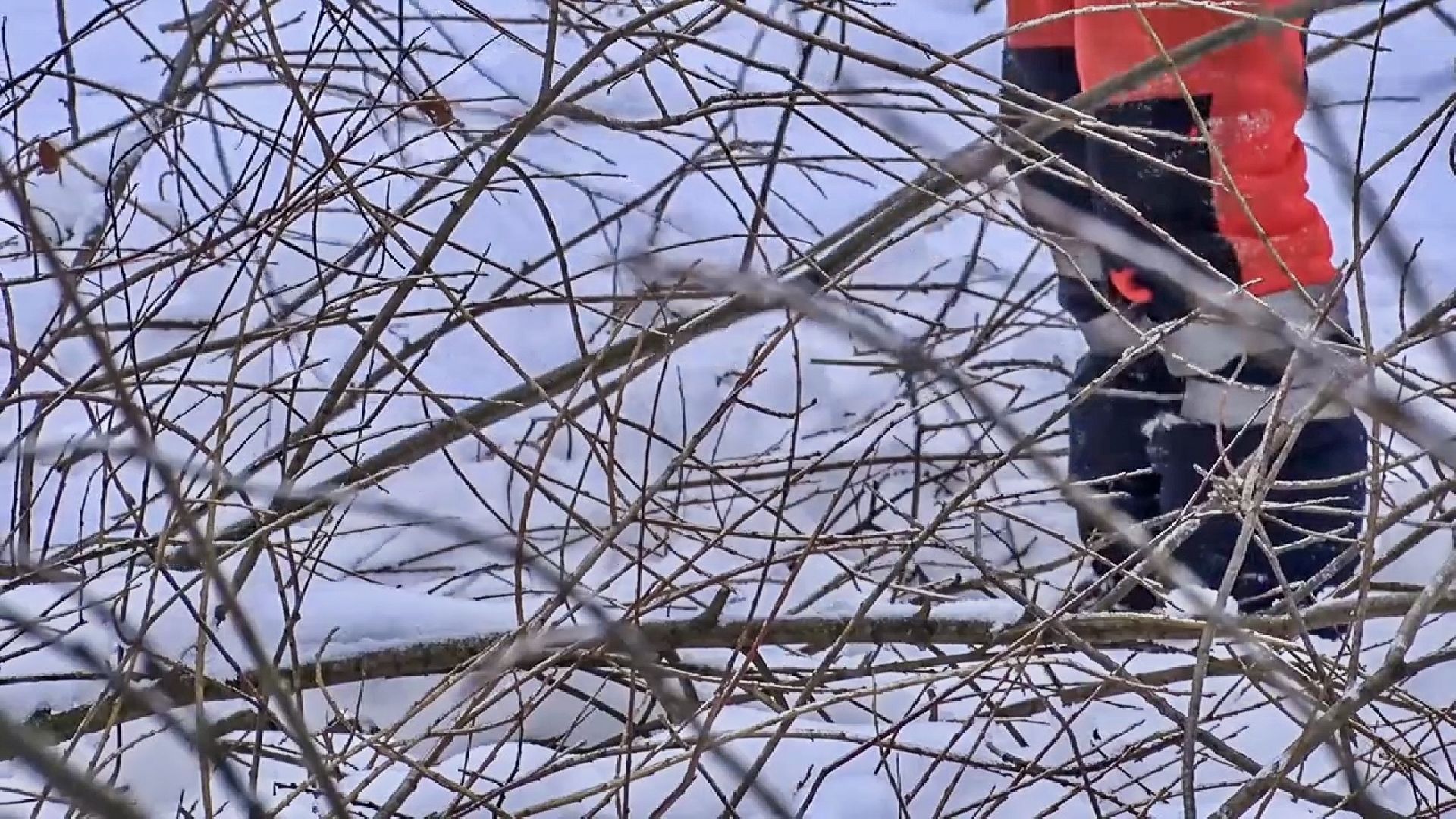 Клин, общество, волонтеры, благоустройство,