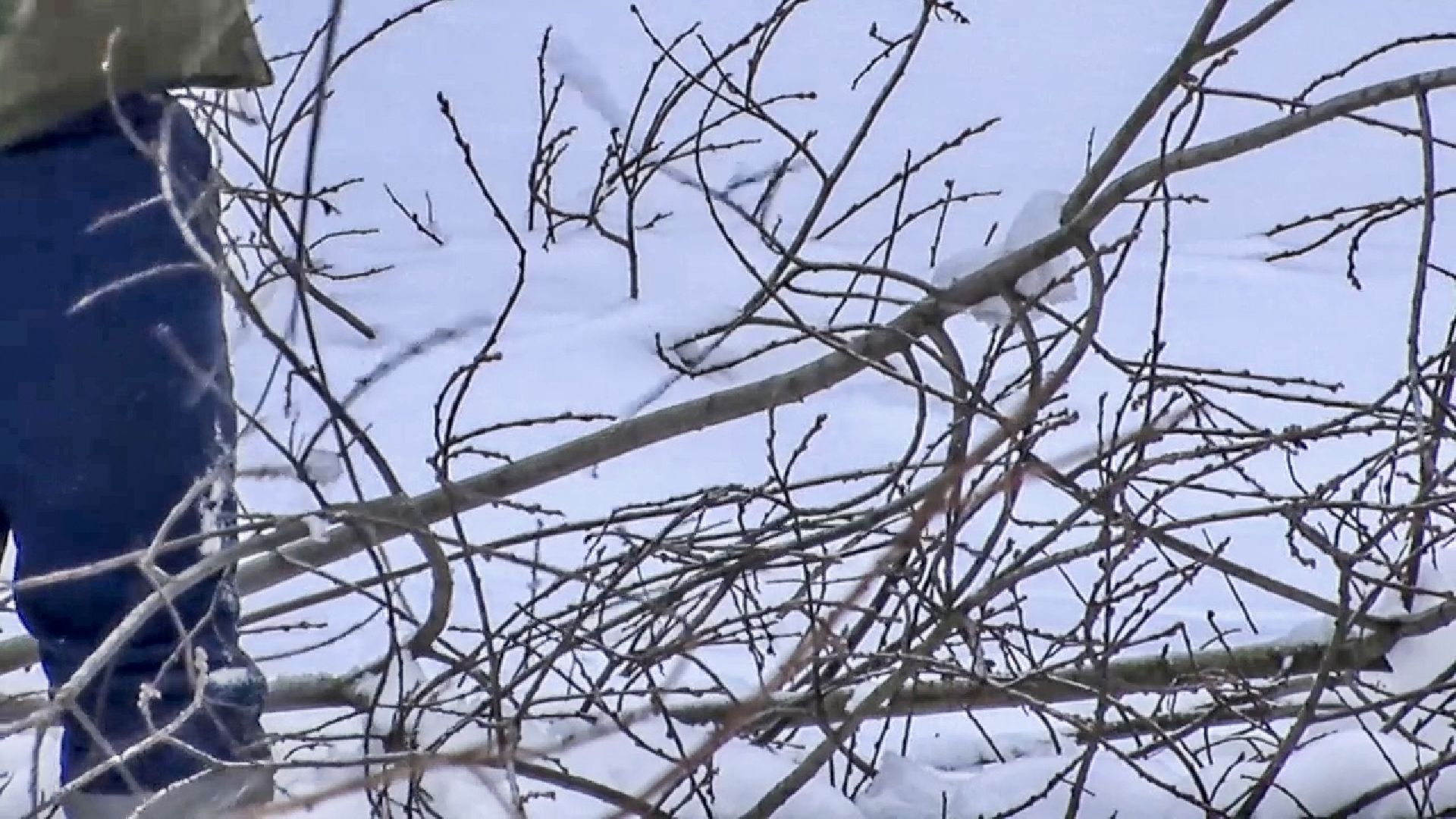 Клин, общество, волонтеры, благоустройство,