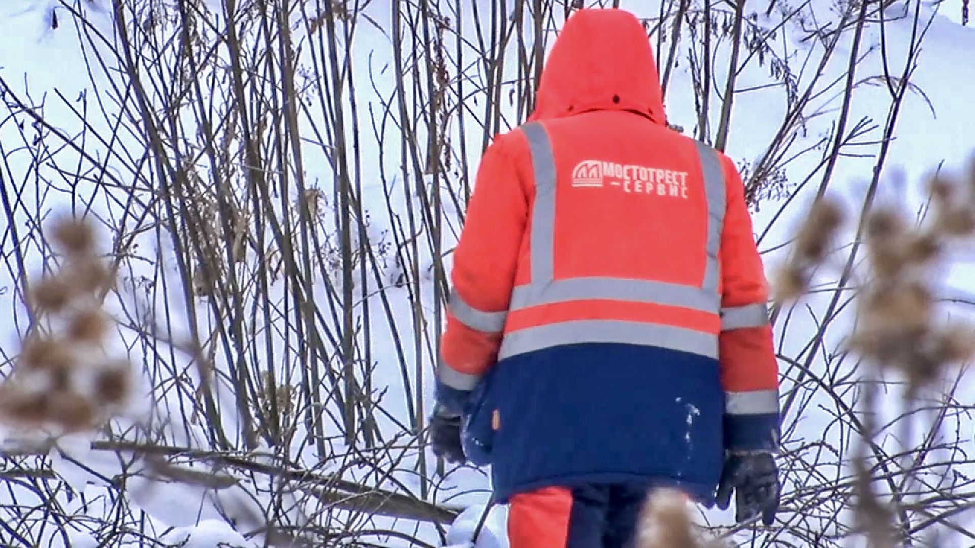 Клин, общество, волонтеры, благоустройство,