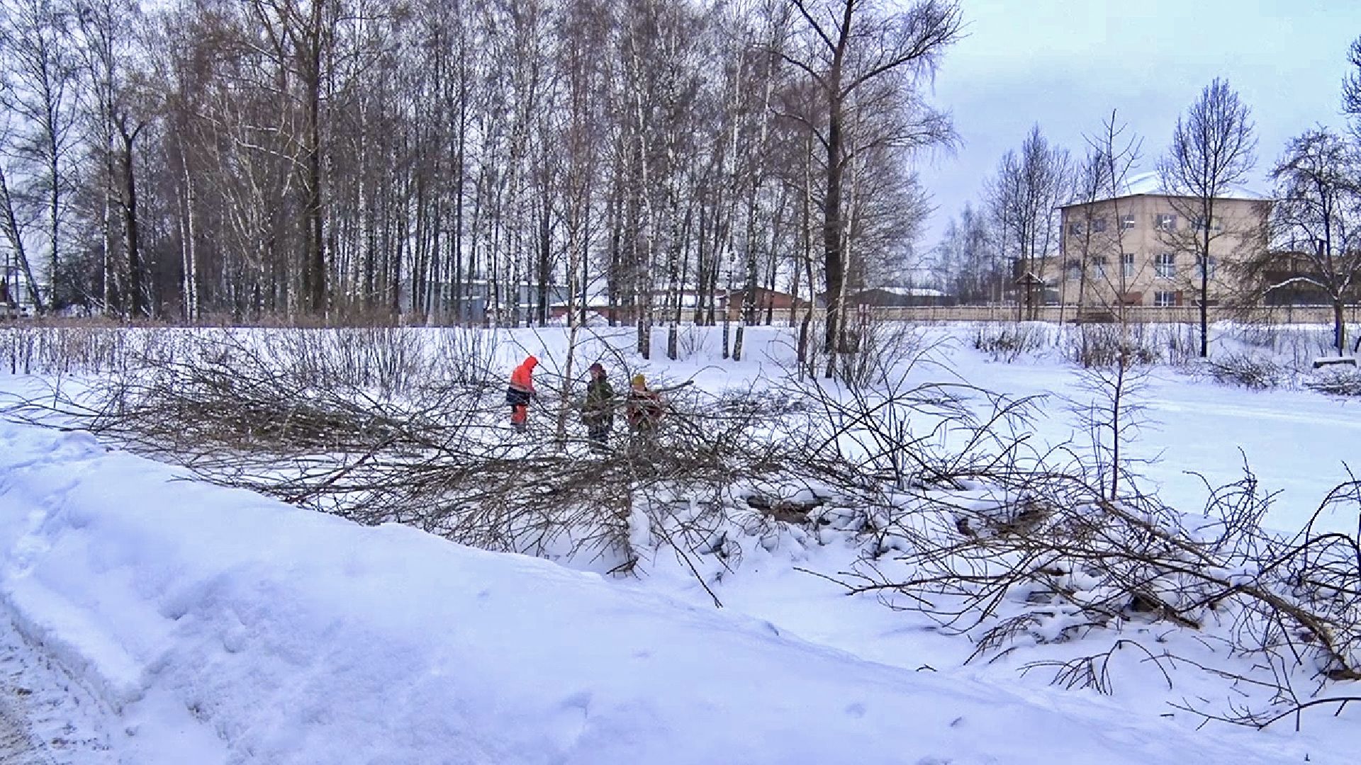 Клин, общество, волонтеры, благоустройство,