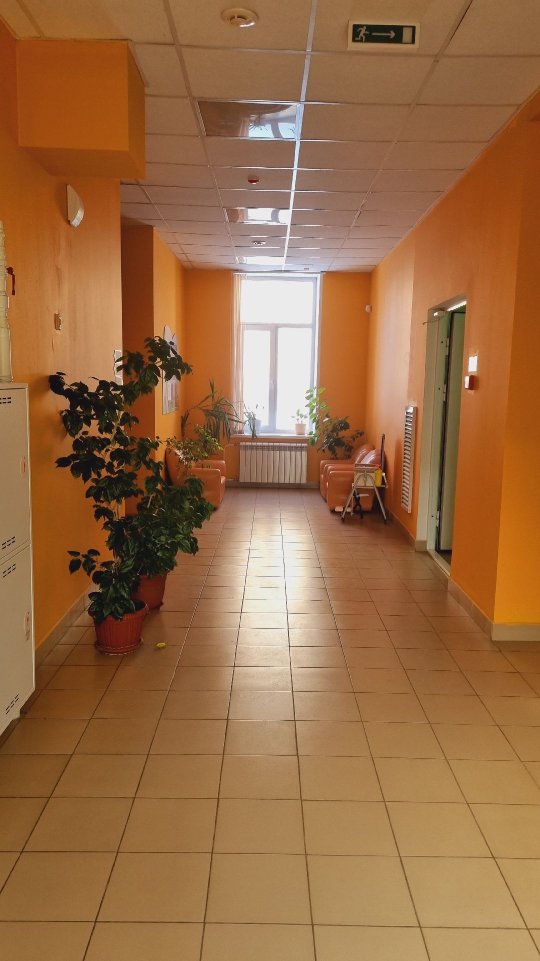 Подмосковье, Ивантеевка, Образование, детский сад