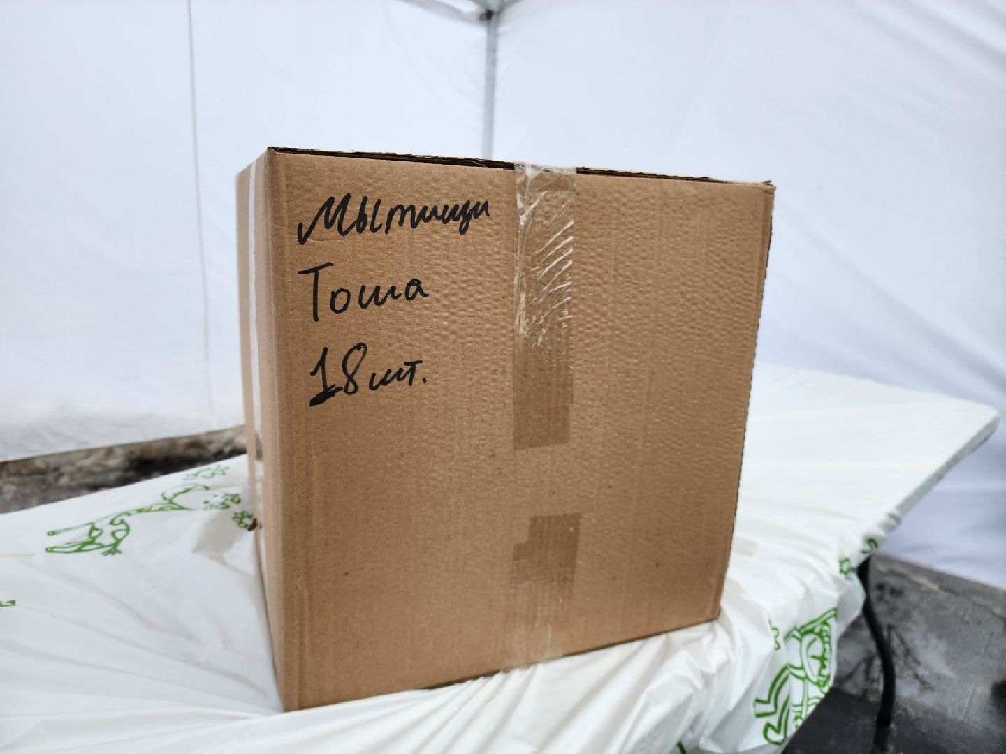 мытищи, 23 февраля, День защитника Отечества, сво, Сбор гуманитарной помощи,