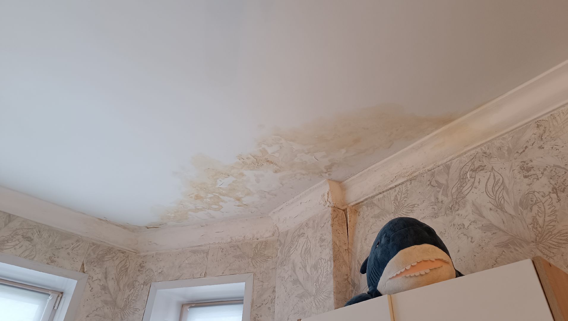 жкх, старые дома, лобня,