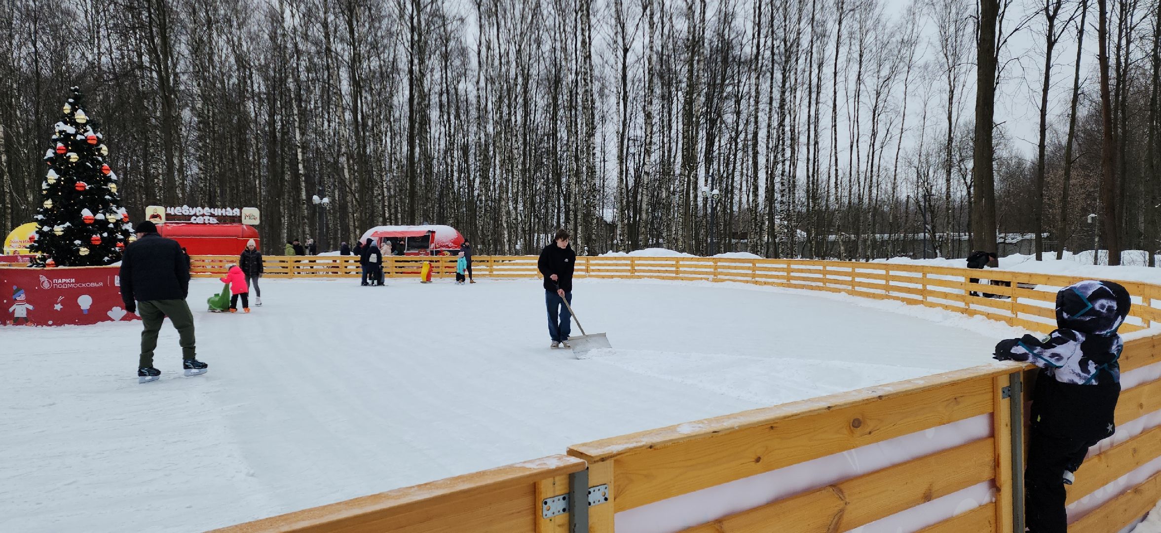 электросталь, мой город, праздник, 23 февраля, концерт, концерты, оркестр, парк, парки в лесу, парки подмосковья, хор,