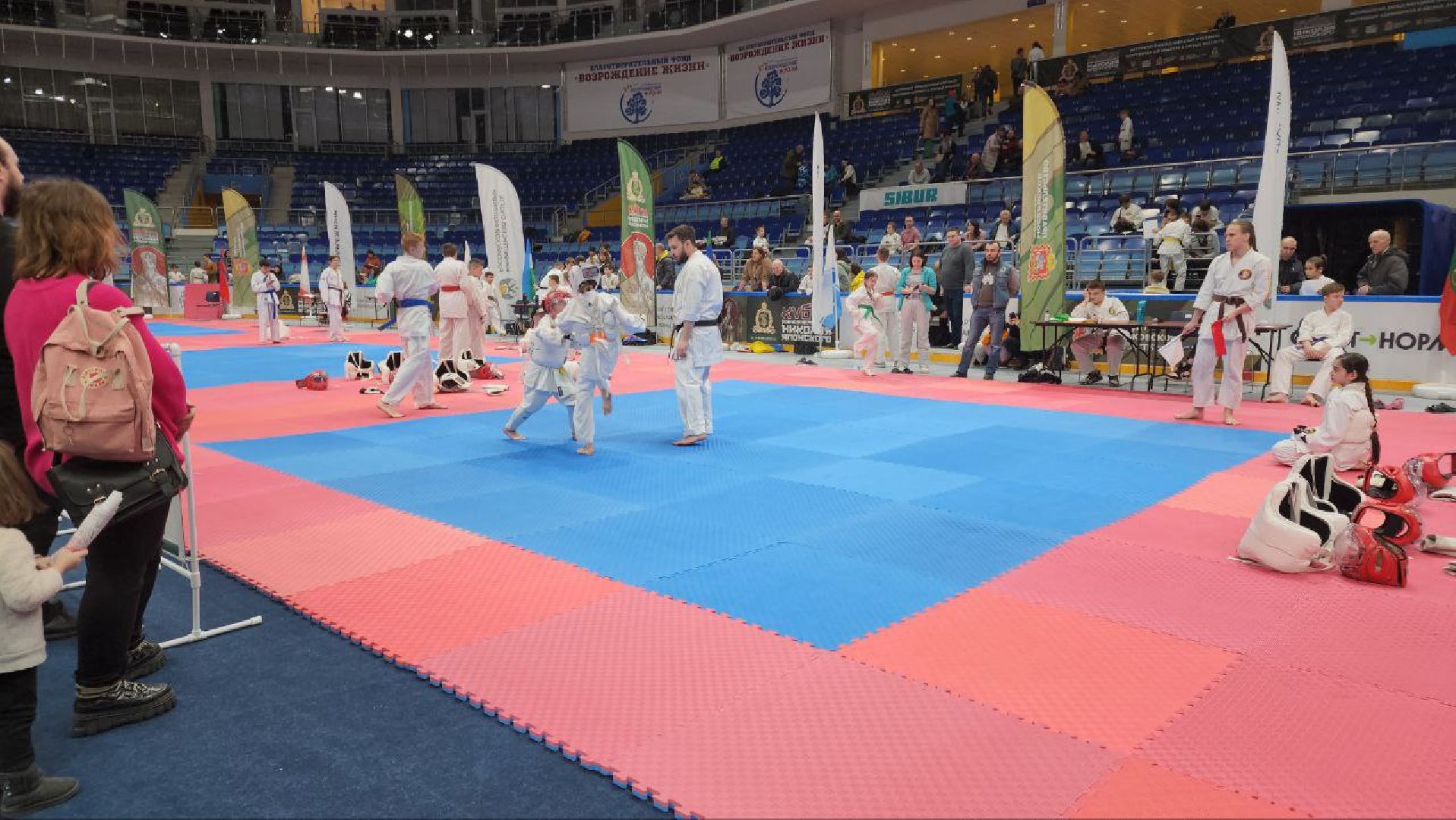 мытищи, арена мытищи, кубок николая японского,