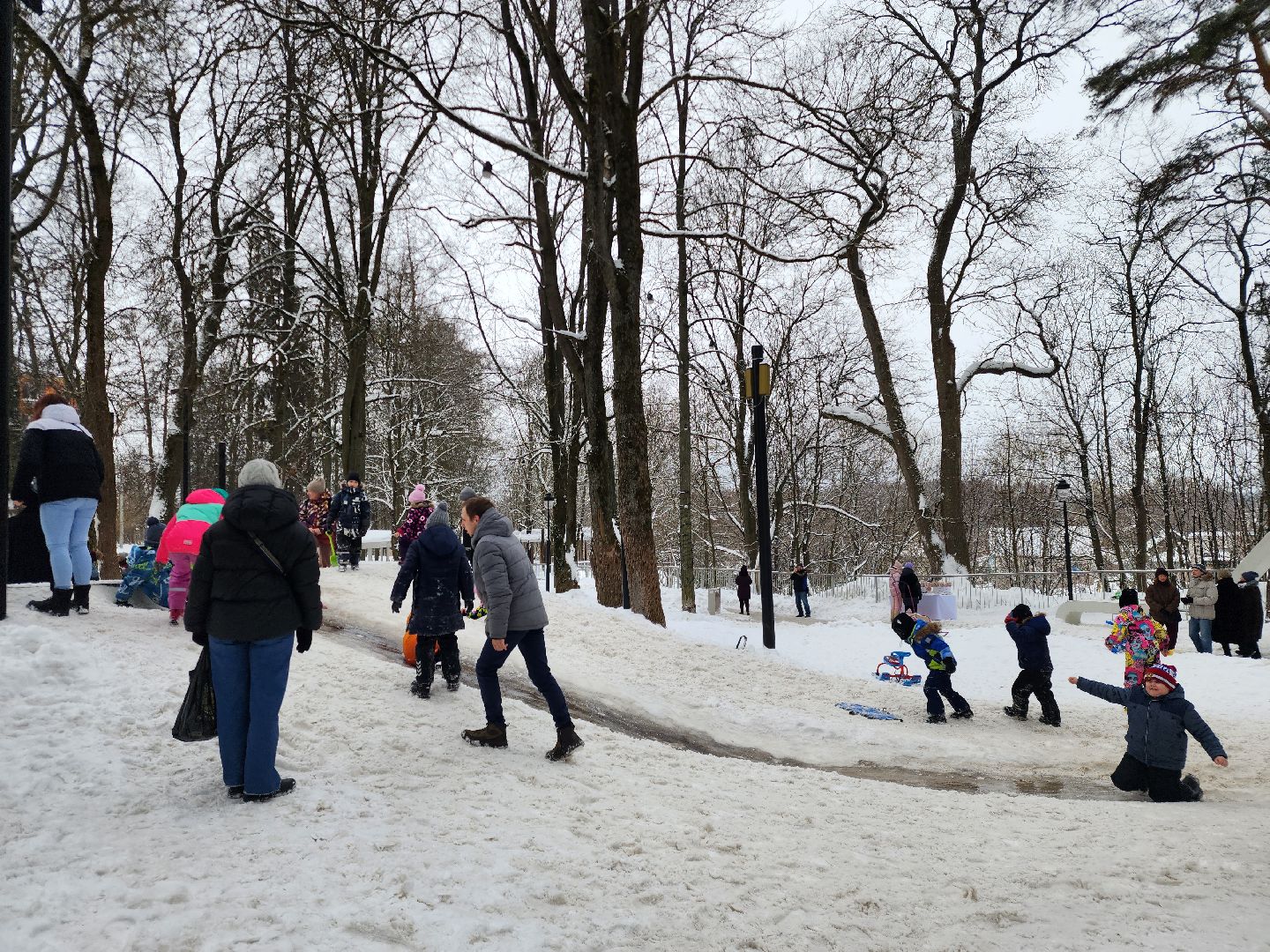 Звенигород, День защитника Отечества, Культура,
