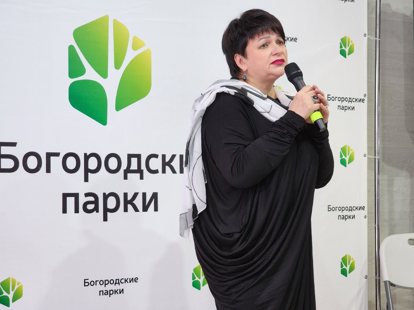 День защитника Отечества, 23 февраля, Центральный парк, Ногинск, Богородский городской округ,