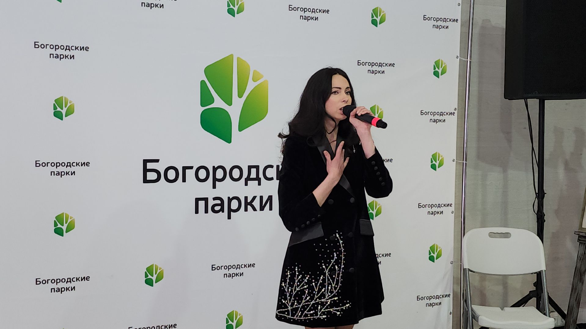 День защитника Отечества, 23 февраля, Центральный парк, Ногинск, Богородский городской округ,