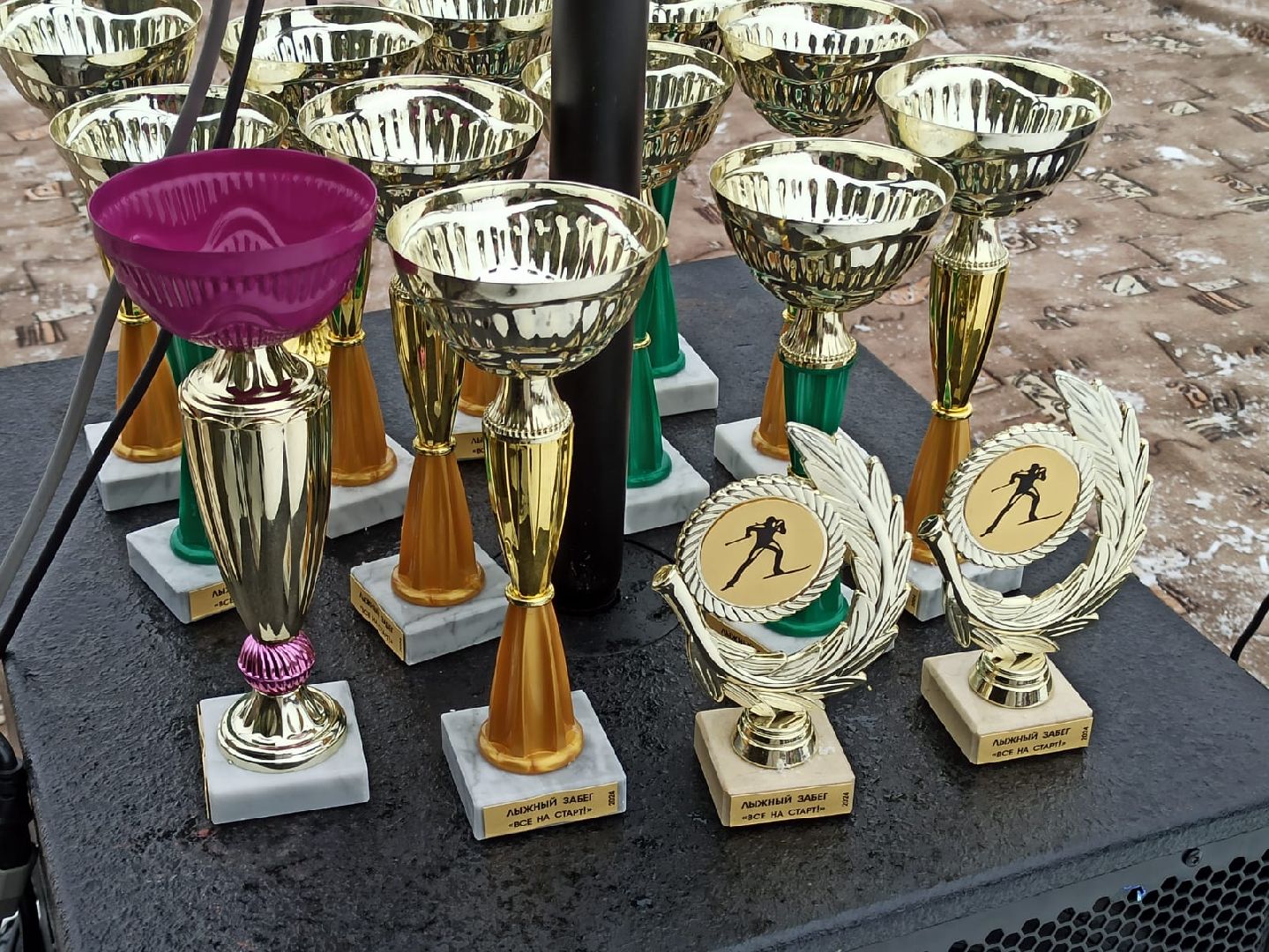 пушкино, лыжная гонка, день защитника отечества, соревнования,