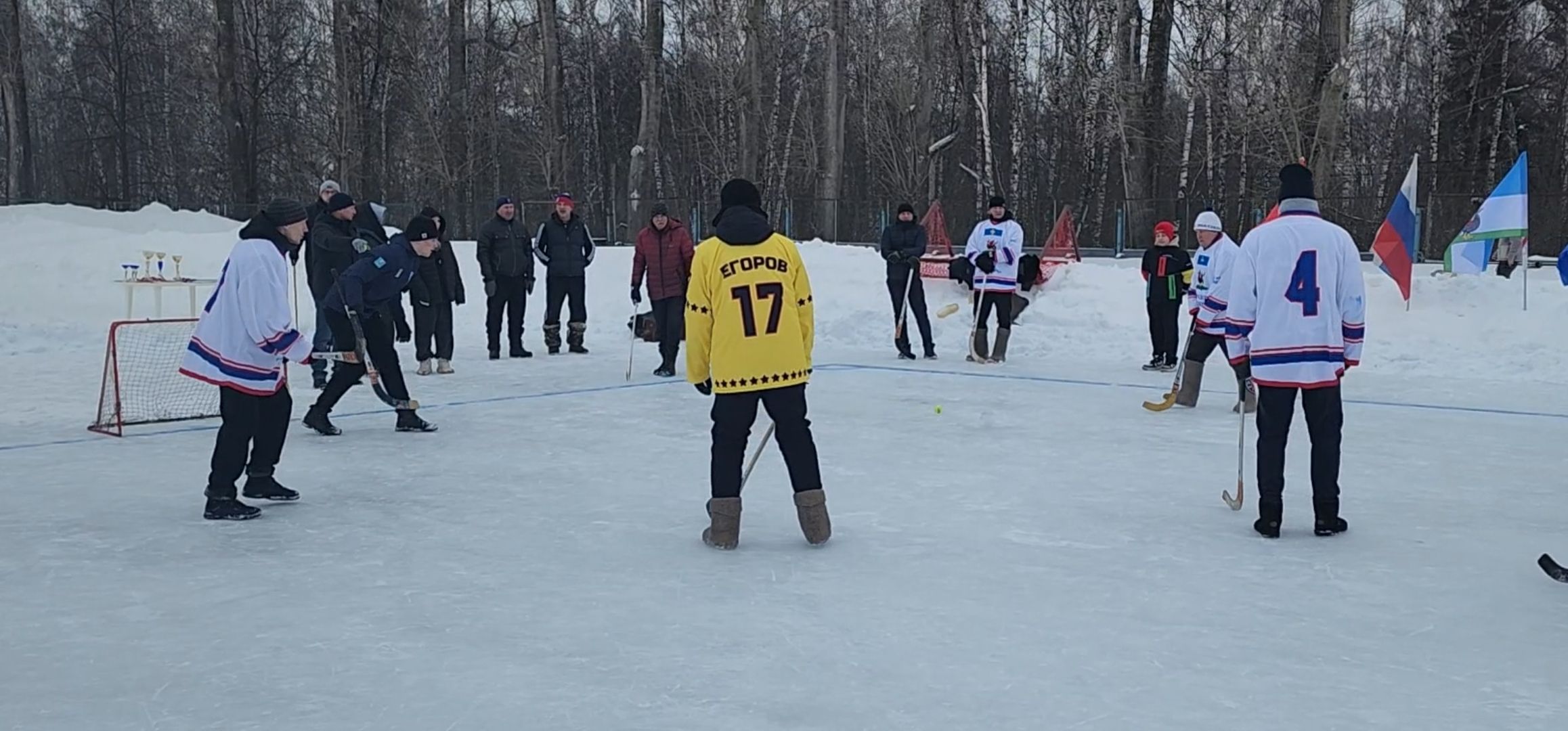 кашира, день защитника отечества, хоккей с мячом, валенки, соревнования, ветераны руново, корыстово, любители,