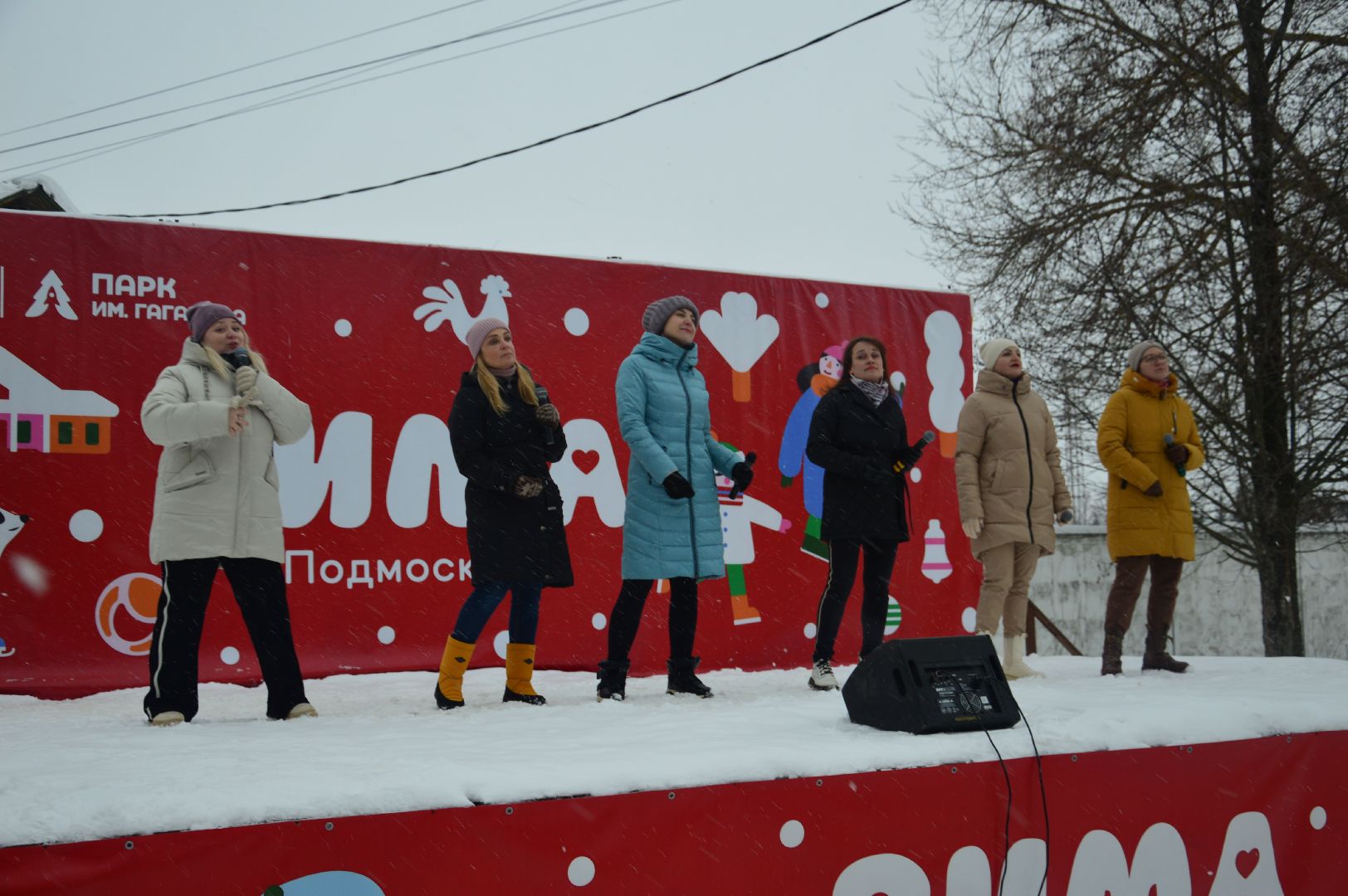 шатура, парки подмосковья, городской округ культура, день защитника отечества, мероприятие, гагарин,