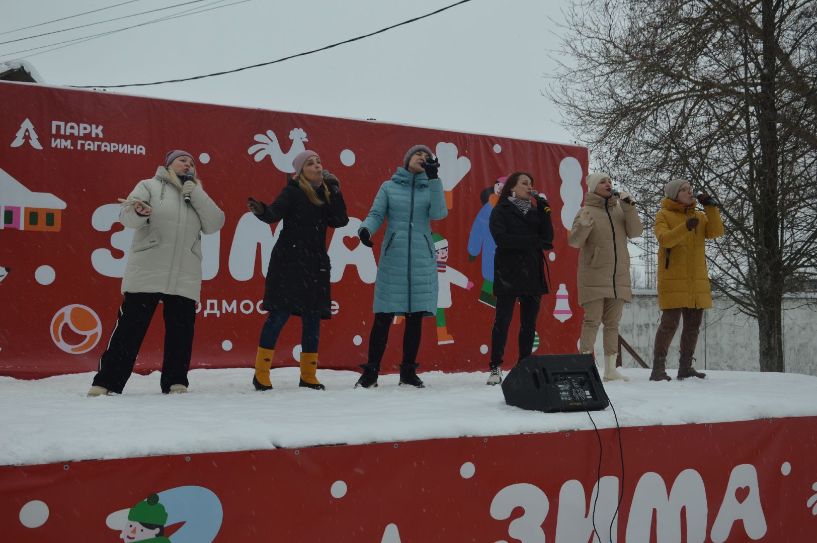 шатура, парки подмосковья, городской округ культура, день защитника отечества, мероприятие, гагарин,