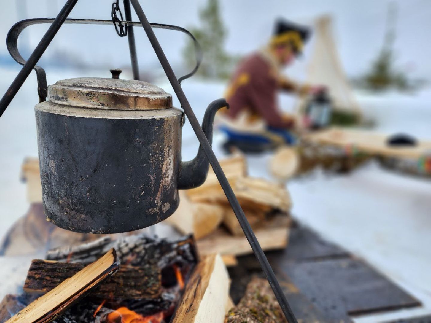 можайск, можайский городской округ, подмосковье, день защитника отечества, парк, городской парк, праздничная программа, культура,