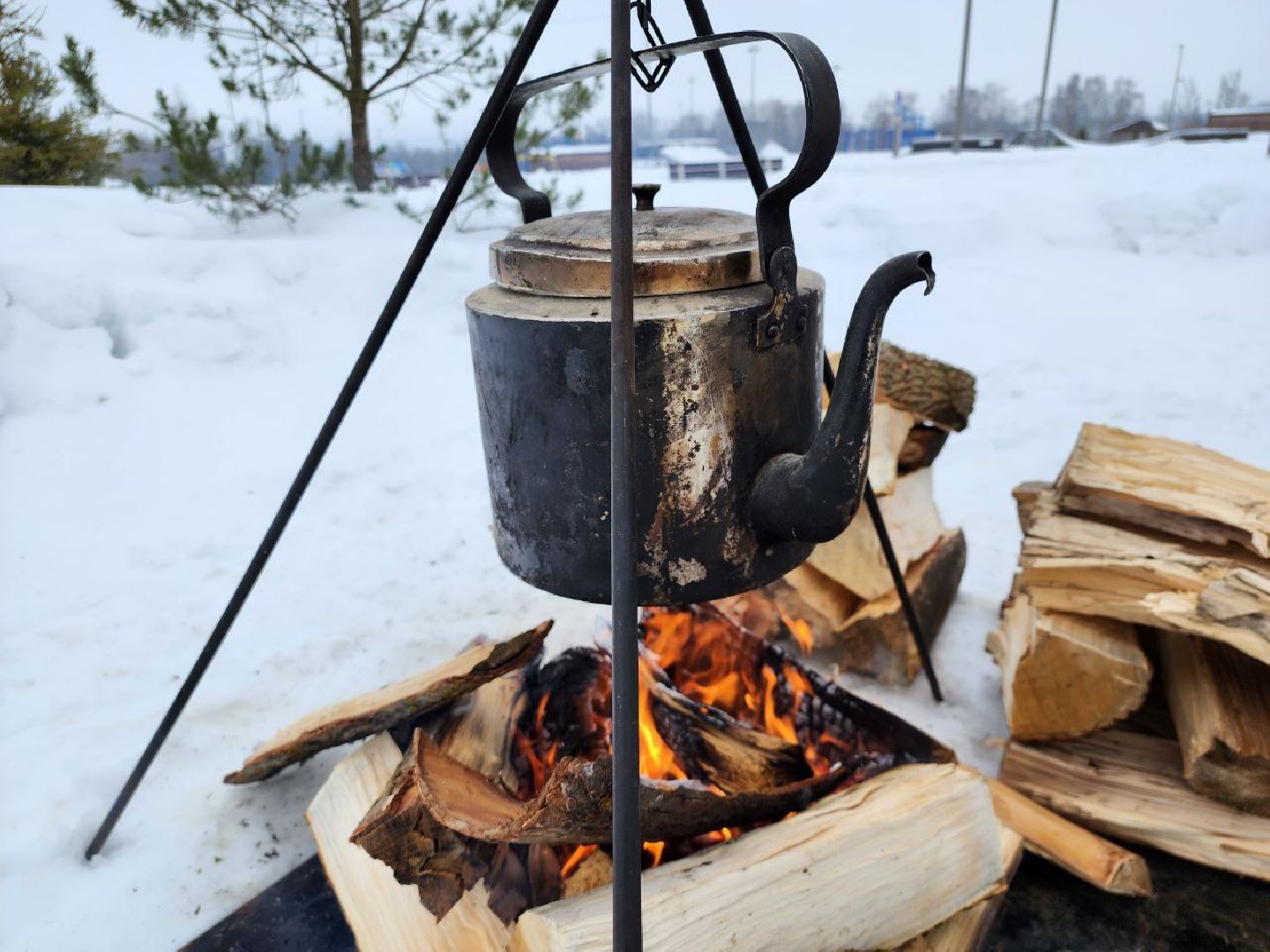можайск, можайский городской округ, подмосковье, день защитника отечества, парк, городской парк, праздничная программа, культура,