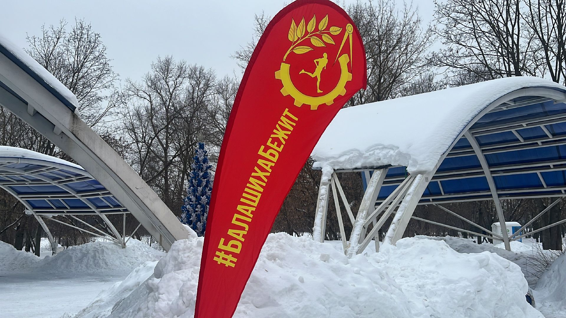 забег, балашиха, парк заречная, бег в парке,