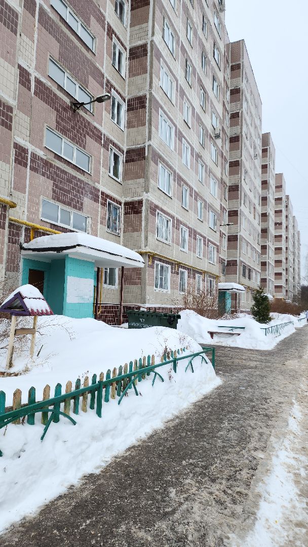 электросталь, мой город, выборы, выборы 2024, выборы президента, выборы президента 2024, жители города, информаторы, избиратели, избиратель, избирательная кампания, избирательный участок,