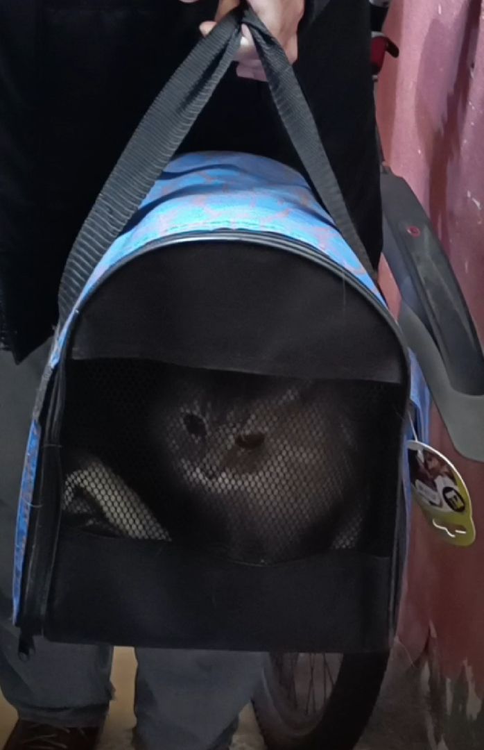 чп, лобня, мвд,