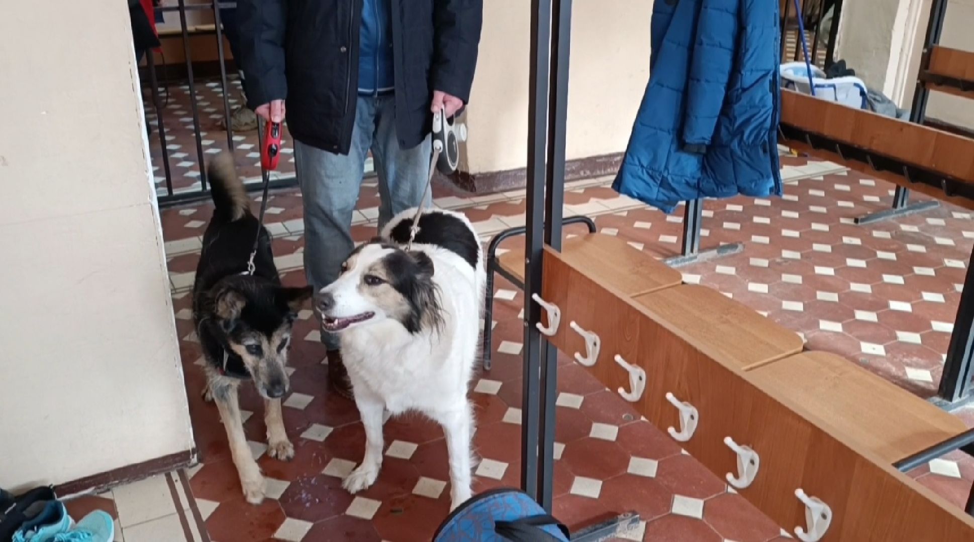 чп, лобня, мвд,