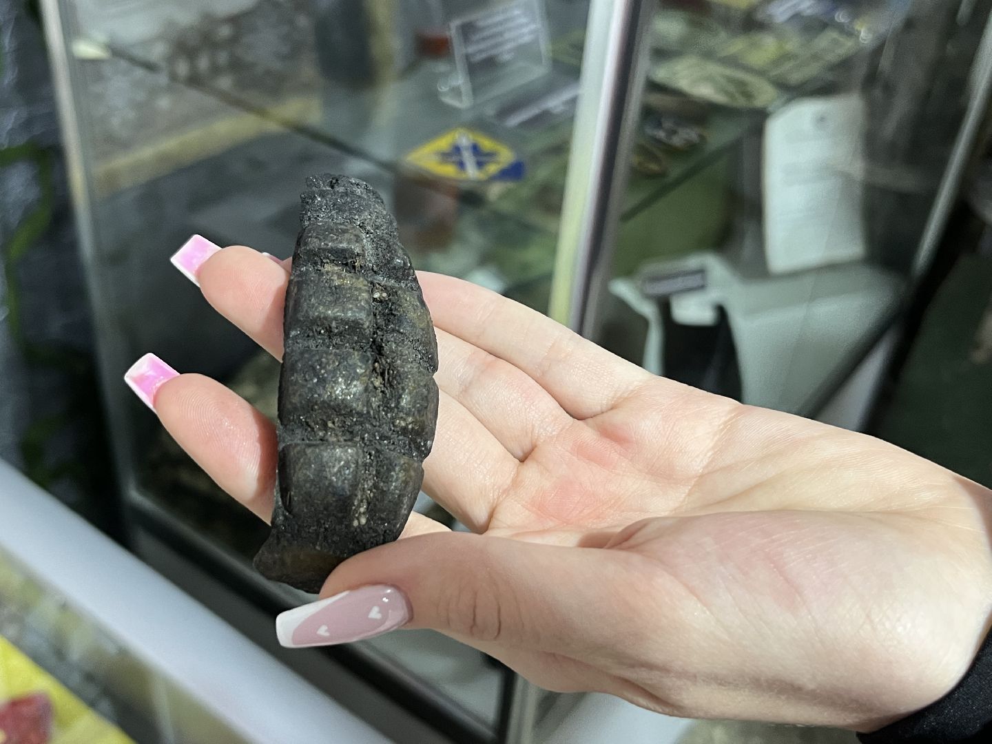 наро-фоминск, сво, годовщина сво, защитники отечества, память,