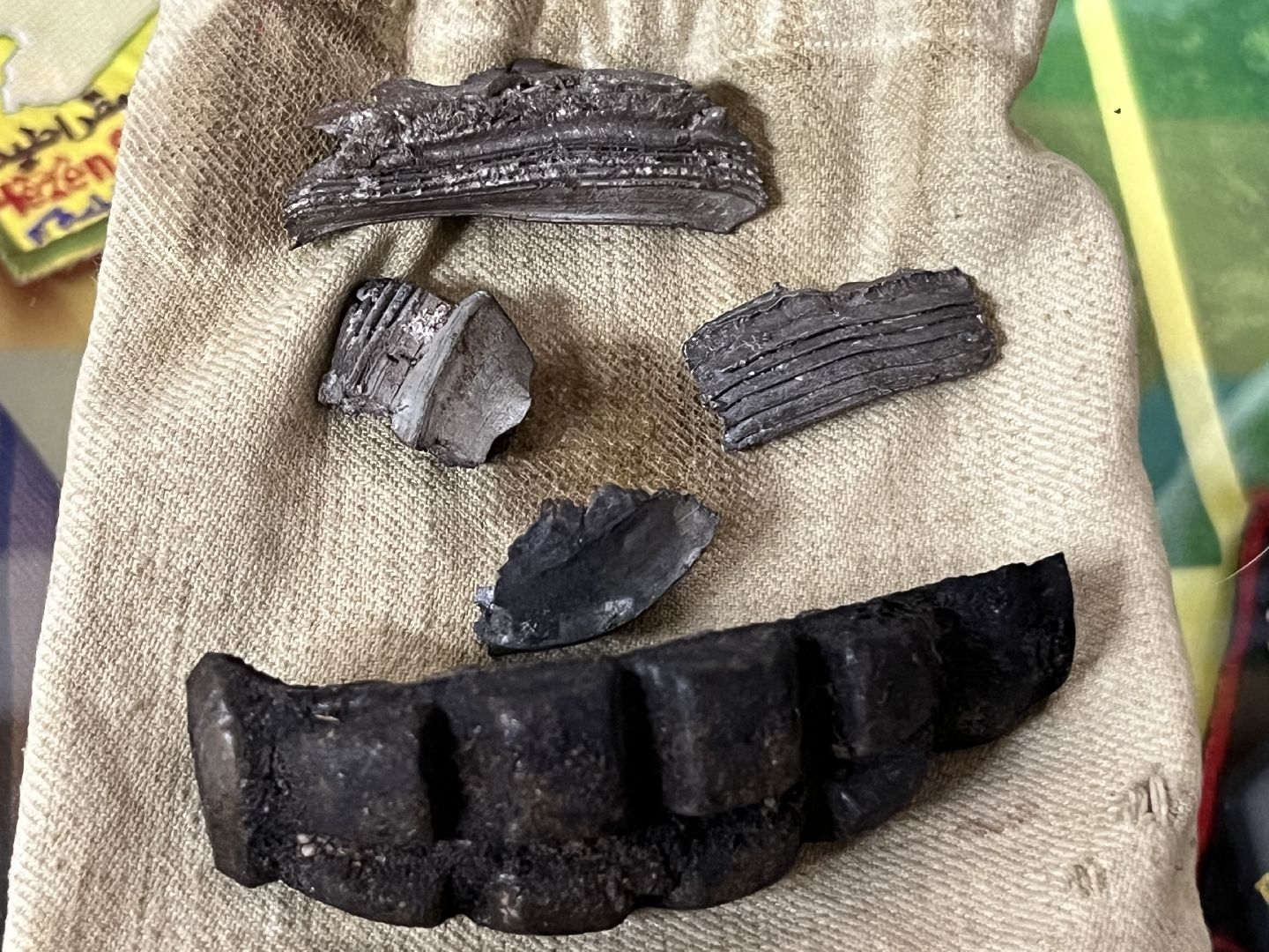 наро-фоминск, сво, годовщина сво, защитники отечества, память,