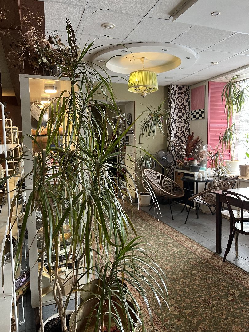 кофейня, Крендель, благотворительность, благотворительные акции, усадьба Быково, где поесть, вкусно,