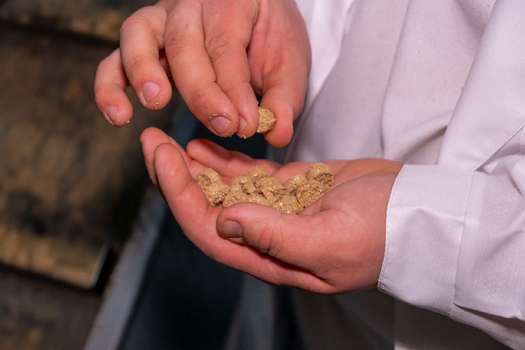 Экономика, Аквагранула, новый завод, Орехово-Зуево, губернатор, Заголовацкий, производство