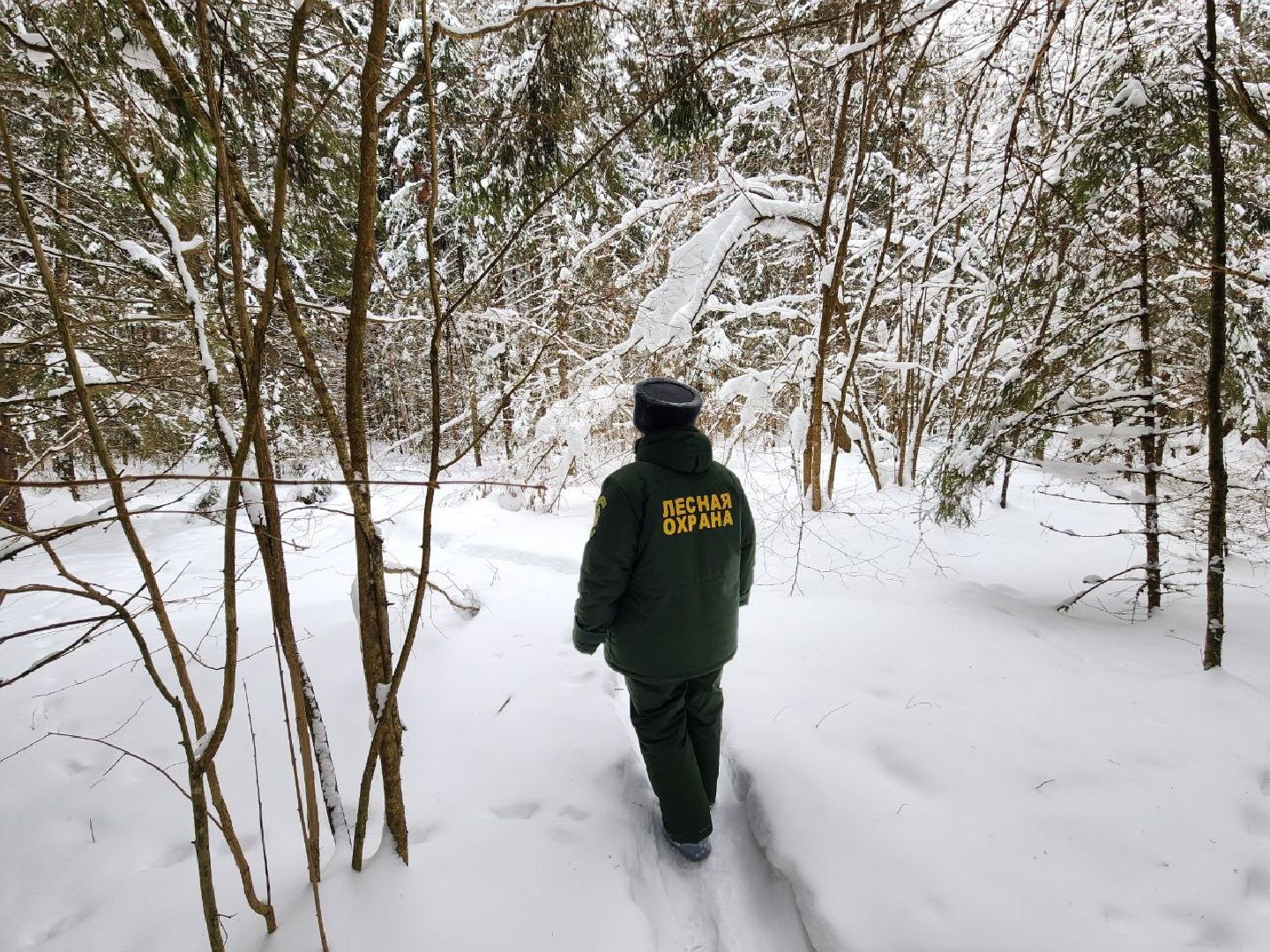 можайск, можайский городской округ, подмосковье, рейд, лесничие, патрулирование, лесное законодательство РФ, выявление нарушений,