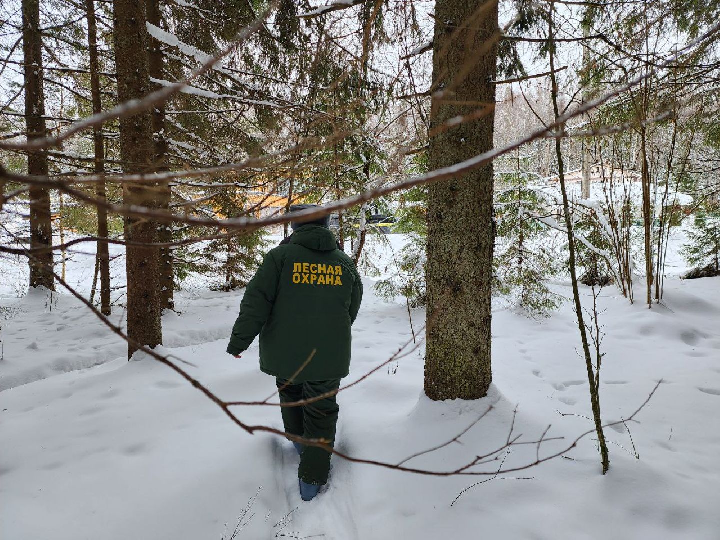 можайск, можайский городской округ, подмосковье, рейд, лесничие, патрулирование, лесное законодательство РФ, выявление нарушений,