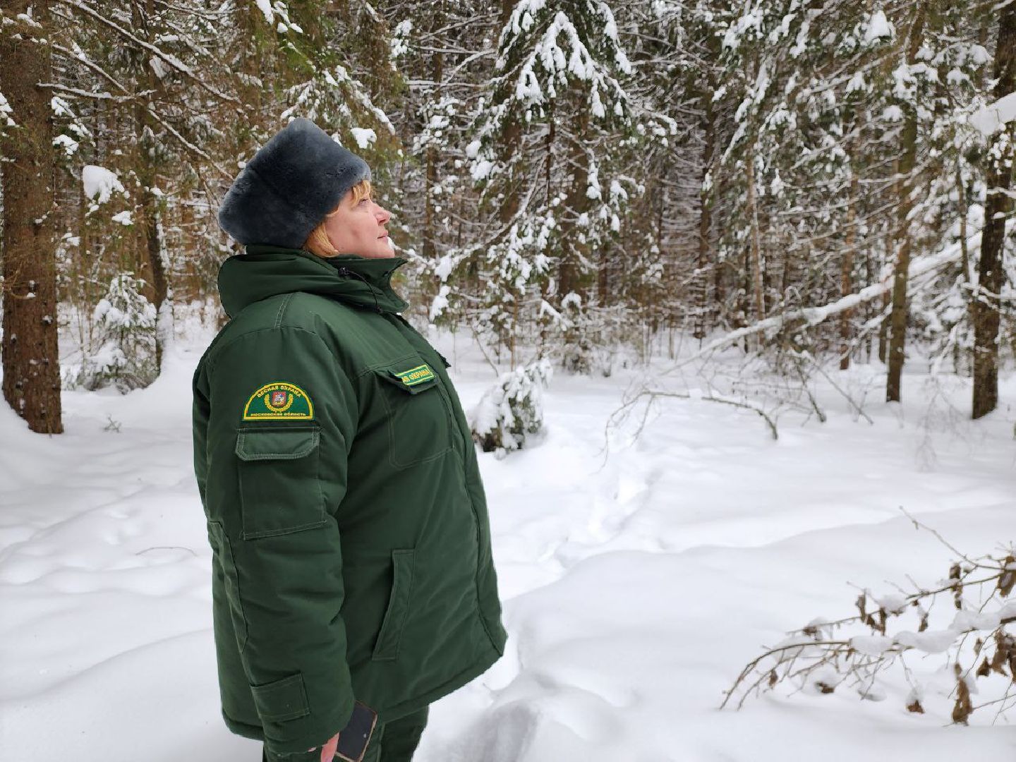 можайск, можайский городской округ, подмосковье, рейд, лесничие, патрулирование, лесное законодательство РФ, выявление нарушений,