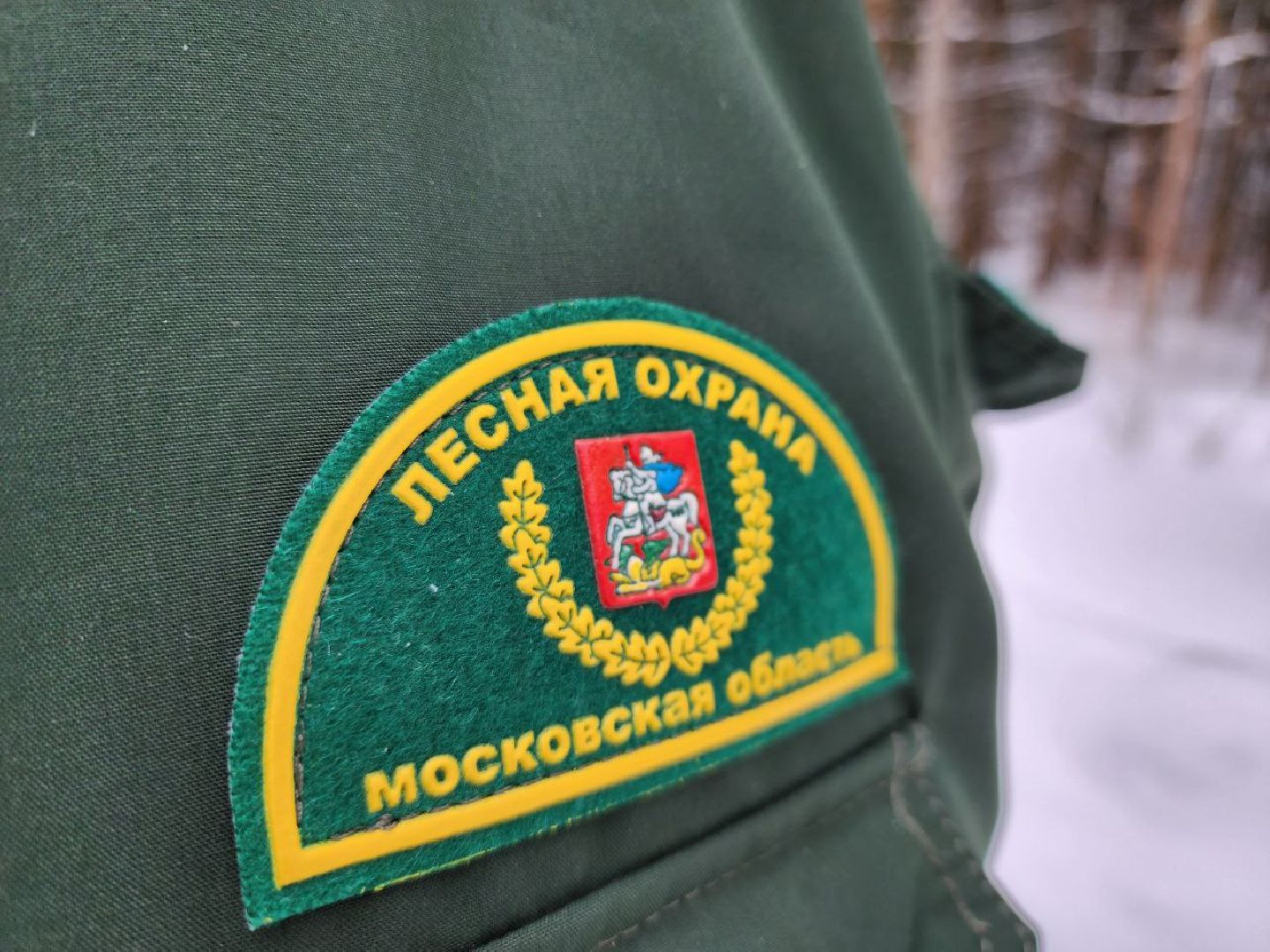 можайск, можайский городской округ, подмосковье, рейд, лесничие, патрулирование, лесное законодательство РФ, выявление нарушений,