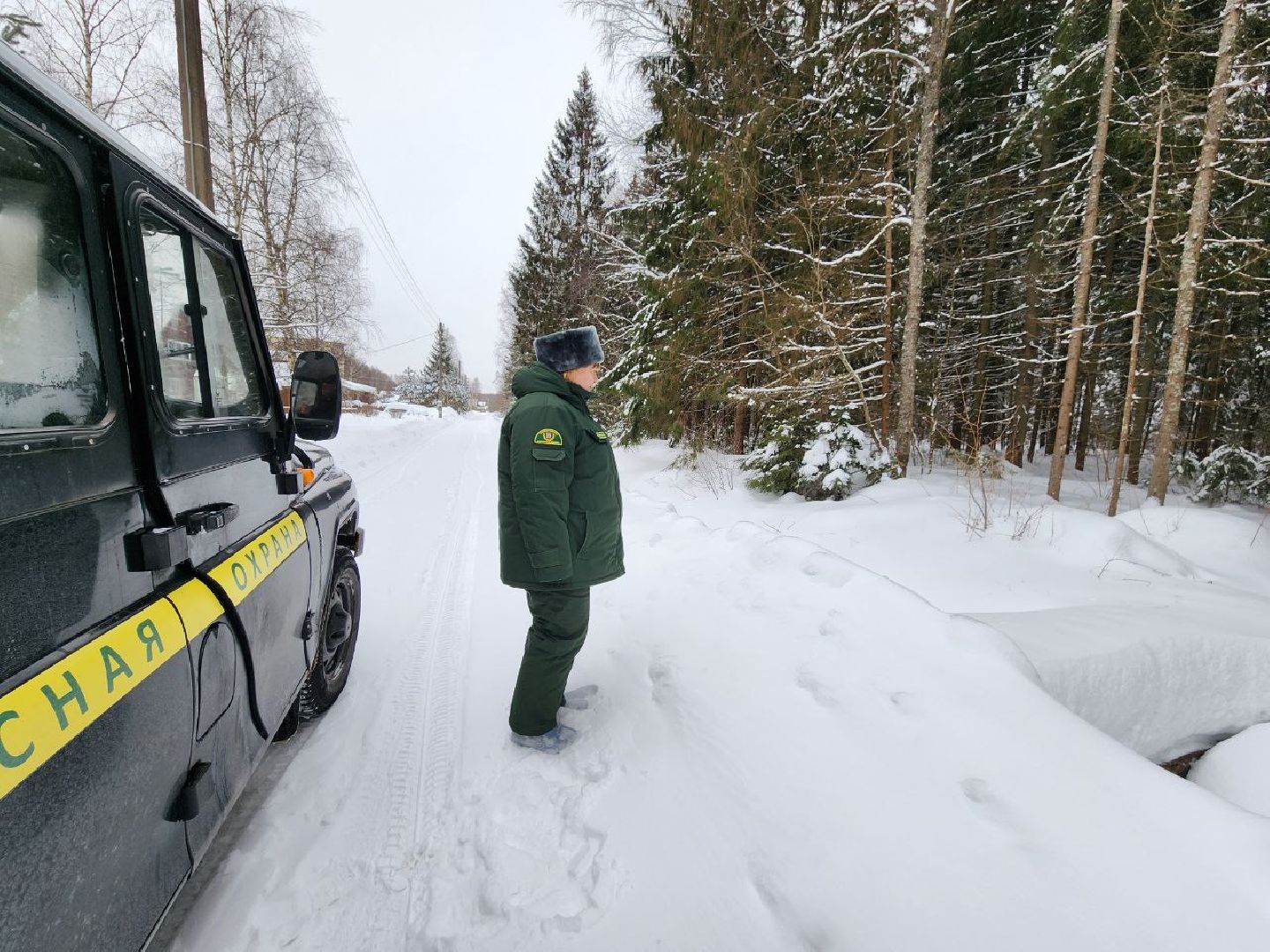 можайск, можайский городской округ, подмосковье, рейд, лесничие, патрулирование, лесное законодательство РФ, выявление нарушений,